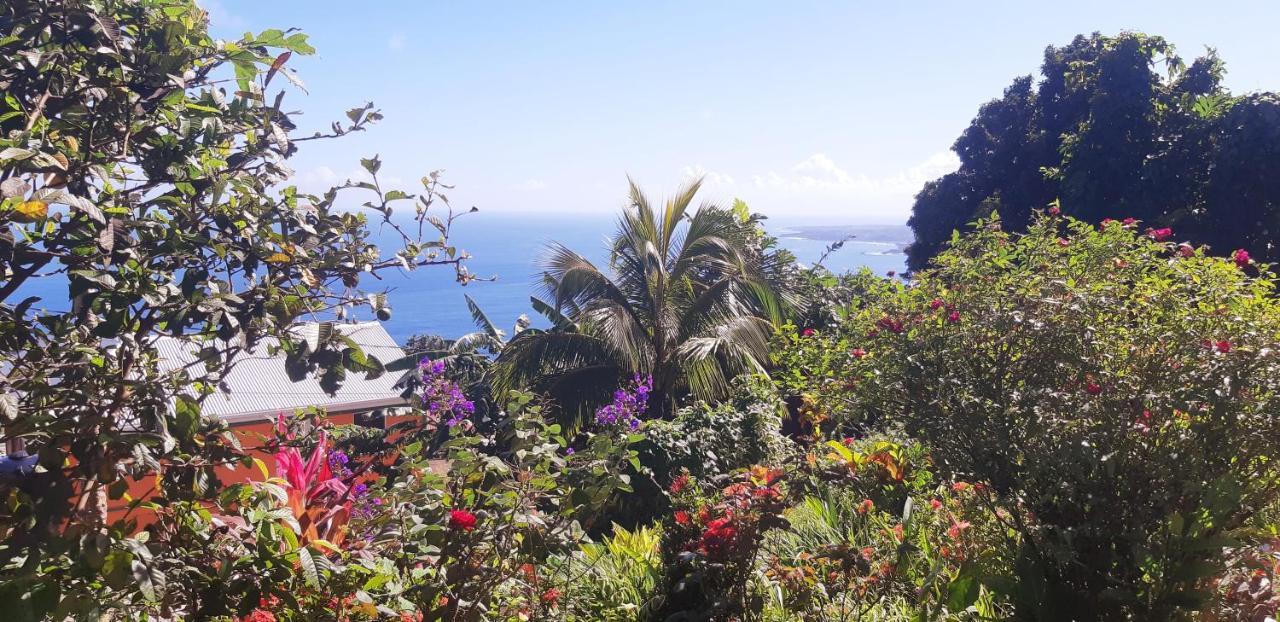 "Sunrise Inn" Nature Island Dominica Penville Екстериор снимка
