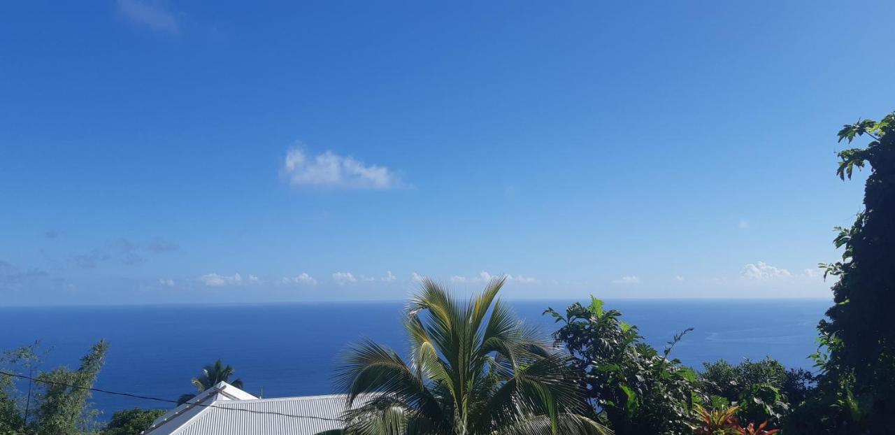 "Sunrise Inn" Nature Island Dominica Penville Екстериор снимка