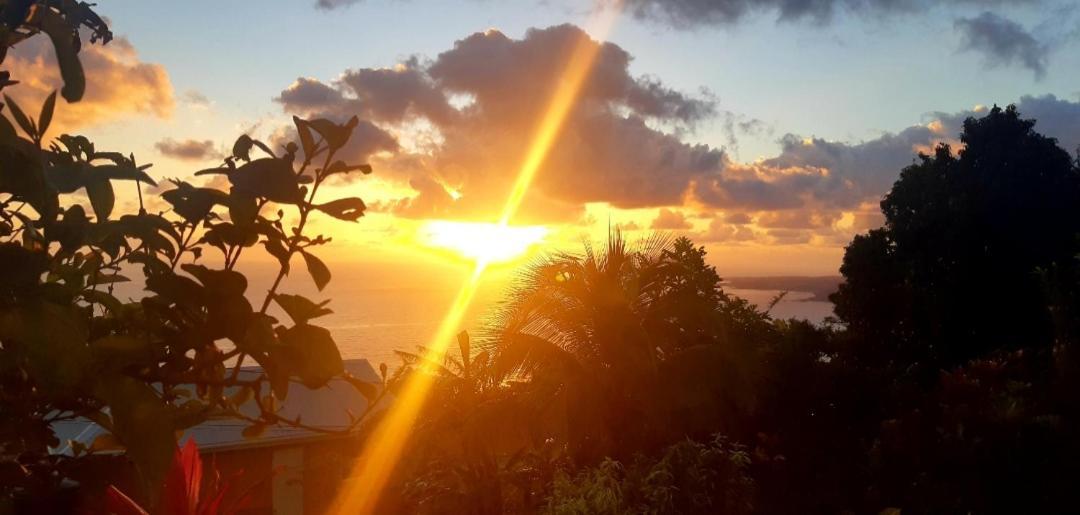 "Sunrise Inn" Nature Island Dominica Penville Екстериор снимка