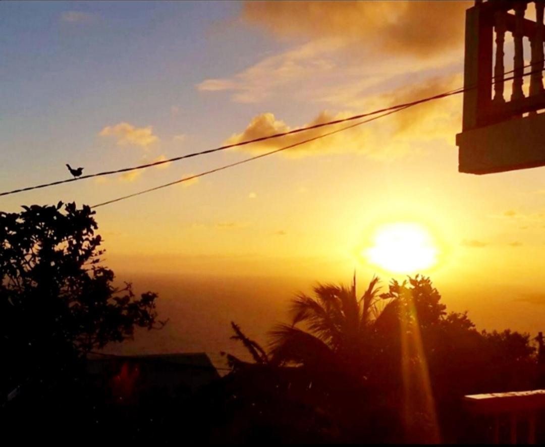 "Sunrise Inn" Nature Island Dominica Penville Екстериор снимка